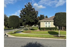 228 CHARDONNAY LANE, GROVELAND, FL 34736 - MLS#MFRS5134591