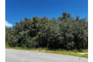 1229 BALTIC DRIVE, POINCIANA, FL 34759 - MLS#MFRS5134712