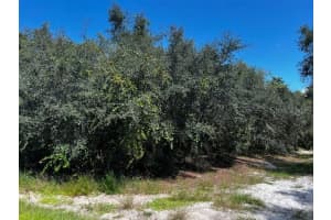 1229 BALTIC DRIVE, POINCIANA, FL 34759 - MLS#MFRS5134712