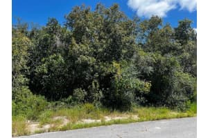 1229 BALTIC DRIVE, POINCIANA, FL 34759 - MLS#MFRS5134712