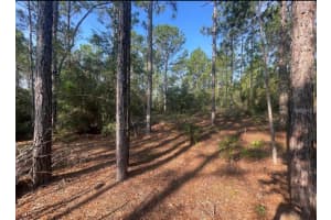 3690 NORWICK PLACE, DUNNELLON, FL 34433 - MLS#MFRS5134754
