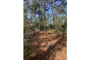 3690 NORWICK PLACE, DUNNELLON, FL 34433 - MLS#MFRS5134754