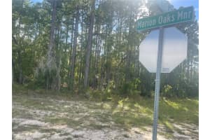 TBD MARION OAKS MANOR, OCALA, FL 34473 - MLS#MFRS5134801