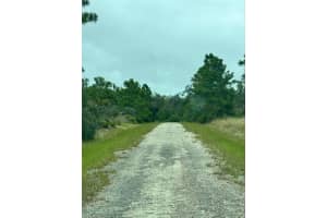 1217 & 1219 CACAO ROAD, LAKE PLACID, FL 33852 - MLS#MFRS5134950
