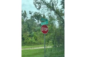 1217 & 1219 CACAO ROAD, LAKE PLACID, FL 33852 - MLS#MFRS5134950