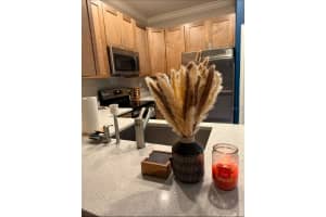 17468 NECTAR FLUME DRIVE, LAND O LAKES, FL 34638 - MLS#MFRS5134952