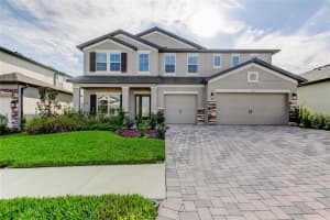 9542 Seagrass Port Pass, WESLEY CHAPEL