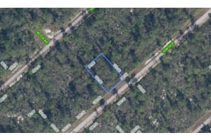3535 VENETIA STREET, LAKE PLACID, FL 33852 - MLS#MFRS5135042