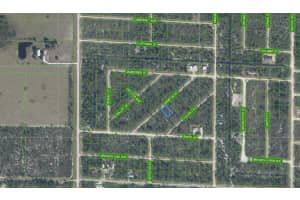 3535 VENETIA STREET, LAKE PLACID, FL 33852 - MLS#MFRS5135042