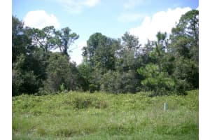 1343 CONGO COURT, KISSIMMEE, FL 34759 - MLS#MFRS5135086