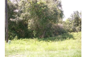 1343 CONGO COURT, KISSIMMEE, FL 34759 - MLS#MFRS5135086