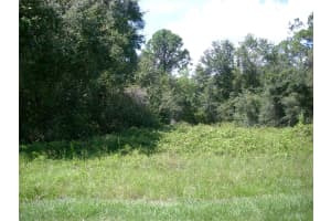 1343 CONGO COURT, KISSIMMEE, FL 34759 - MLS#MFRS5135086