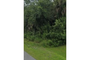 APOLLO AVE, NORTH PORT, FL 34286 - MLS#MFRS5135352