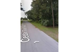 CEDAR TRACE TERRACE, OCALA, FL 34472 - MLS#MFRS5135468