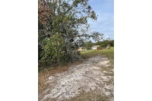 624 WALLABY LANE, KISSIMMEE, FL 34759 - MLS#MFRS5135498