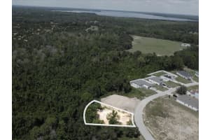 2409 PECOS LANE, KISSIMMEE, FL 34759 - MLS#MFRS5135548