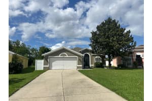3217 WHOOPING CRANE RUN, KISSIMMEE, FL 34741 - MLS#MFRS5135713