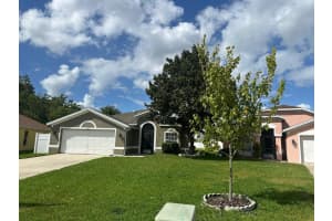 3217 WHOOPING CRANE RUN, KISSIMMEE, FL 34741 - MLS#MFRS5135713