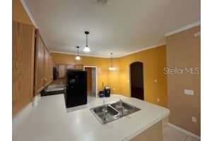 4535 FICUS TREE ROAD, KISSIMMEE, FL 34758 - MLS#MFRS5135719