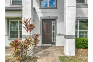 1421 JUNIPER HAMMOCK STREET, WINTER GARDEN, FL 34787 - MLS#MFRS5135740
