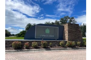 15438 WICKED STRONG STREET, RUSKIN, FL 33573 - MLS#MFRS5135978