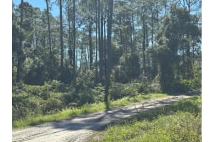 11TH AVE, DELAND, FL 32724 - MLS#MFRS5136155