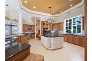 30215 REDTREE DRIVE, LEESBURG, FL 34748 - MLS#MFRS5136187