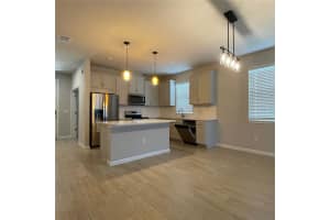 19812 BLUE POND DRIVE, LUTZ, FL 33558 - MLS#MFRS5136234