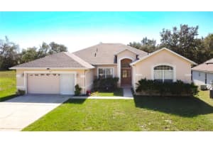 1419 Punta Gorda Dr, KISSIMMEE