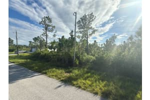 14235 BARBAROSSA LANE, PORT CHARLOTTE, FL 33981 - MLS#MFRS5136427