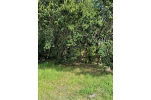 5325 KEMPSTON DRIVE, ORLANDO, FL 32812 - MLS#MFRS5136567