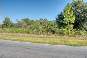 0 REYNOLDS PARKWAY, ORLANDO, FL 32833 - MLS#MFRS5136608