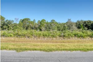 0 REYNOLDS PARKWAY, ORLANDO, FL 32833 - MLS#MFRS5136608