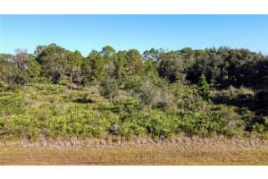 0 REYNOLDS PARKWAY, ORLANDO, FL 32833 - MLS#MFRS5136608