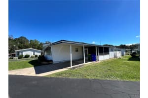 229 RUE DE FONTAINE, TAVARES, FL 32778 - MLS#MFRS5136617