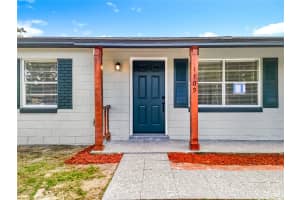1109 WILLOW COURT, TAVARES, FL 32778 - MLS#MFRS5136746