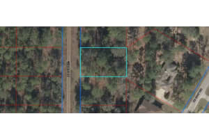 LOT 19 150 NE COURT STREET, WILLISTON, FL 32696 - MLS#MFRS5136851