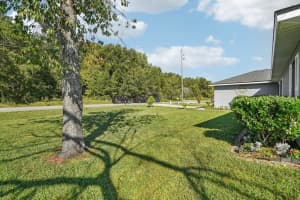 133 WALNUT ROAD, OCALA, FL 34480 - MLS#MFRS5136853