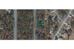 LOT 20 150 NE COURT STREET, WILLISTON, FL 32696 - MLS#MFRS5136856