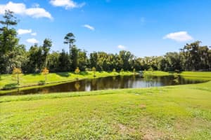 MLS# MFRS5136862, Kissimmee, Florida 34747