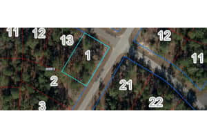 LOT 1 NE 7TH PL, WILLISTON, FL 32696 - MLS#MFRS5136907
