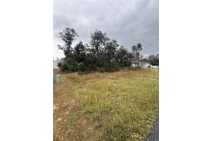 SW 172ND LANE RD, OCALA, FL 34473 - MLS#MFRS5136914