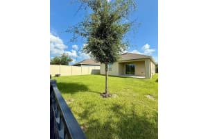 800 BROOKLET DRIVE, DAVENPORT, FL 33837 - MLS#MFRS5136918