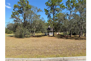 4289 LORDINGS LANE, SPRING HILL, FL 34607 - MLS#MFRS5136991