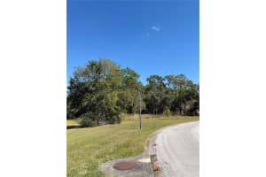 4289 LORDINGS LANE, SPRING HILL, FL 34607 - MLS#MFRS5136991