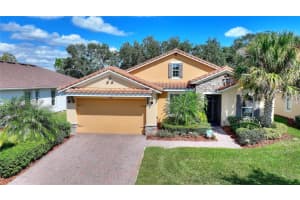 316 Treviso Dr, KISSIMMEE