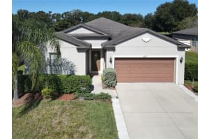 8878 Hinsdale Heights Dr, POLK CITY 8878 Hinsdale Heights Dr, POLK CITY