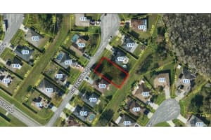 110 CHELTENHAM PLACE, KISSIMMEE, FL 34758 - MLS#MFRS5137361