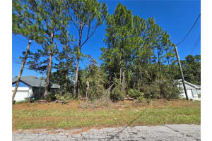 Lot 2 8247 SW 138TH STREET, OCALA, FL 34473 - MLS#MFRS5137542