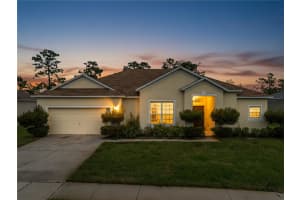 3870 WOOD THRUSH DRIVE, KISSIMMEE, FL 34744 - MLS#MFRS5137569